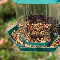 Mangeoire à oiseaux hexagonale suspendue en plastique PP PS avec fenêtre panoramique pour jardin