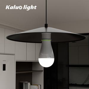 Bombilla LED de Emergencia Recargable E27, Lámpara LED Portátil de 20w con Batería Extraíble de Iones de Litio, Fabricante OEM y ODM - Product Image 3