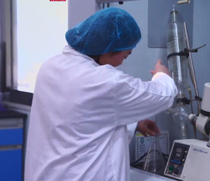 Kosher giá bán buôn Chất lượng cao cấp một <span class=keywords><strong>iqf</strong></span> tươi màu xanh lá cây đông lạnh Bông Cải Xanh floret gạo - Product Image 6