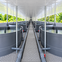 Système d'aquaculture en recirculation (SAR) – Équipement d'élevage de poissons en bassin PP – Ensemble complet industriel et commercial pour bassin intérieur