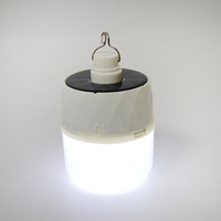 Vente en gros personnalisée Ampoule à énergie solaire rechargeable pour lampe de chargement d'urgence étanche 100w Led