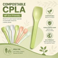 Cuillère à dégustation de crème glacée biodégradable colorée en CPLA, 101 mm, écologique, jetable, mini-cuillère à dessert