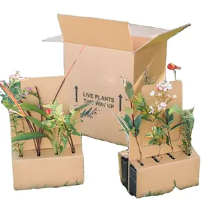 2023 Hot Selling Plantable For Flower Packing Handle Gift Luxury Custom Logo Shipping Corrugated Paper Box