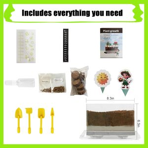 Kit d'observation des racines pour enfants, jouet scientifique STEM, kits de culture artisanale pour cadeaux d'anniversaire, de Pâques pour garçons, filles, enfants, ensemble de jardinage, jouet DIY - Product Image 6