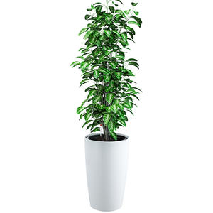 Brice बागवानी बड़े कमरे में रहने वाले पीपी प्लास्टिक के फूल के बर्तन vaso डे फ्लोरेस स्वयं पानी इनडोर गोल्डन बर्तन बोने की मशीन - Product Image 4