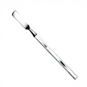 Cuchara facial de acero inoxidable personalizada ASAP Espátula de mezcla de maquillaje no oxidada Paleta de acero recta vacía Proveedor de espátula - Product Image 1