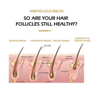 Productos de Alto Rendimiento para el Crecimiento Rápido del Cabello, Tónicos Intensivos para la Regeneración Capilar con Biotina - Product Image 3