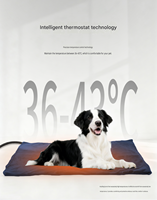Vente directe d'usine, coussin chauffant électrique pour animaux de compagnie, chiens et chats de petite, moyenne et grande taille