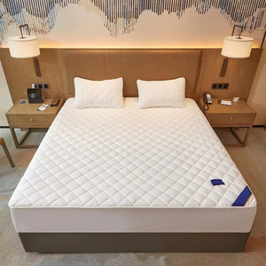 ผ้าคลุมป้องกันฝุ่นสำหรับที่นอน & อุปกรณ์ป้องกัน - Product Image 3