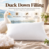 Oreiller en duvet de canard 860g, direct usine, moelleux, rebond 3S, conception à 3 compartiments, silencieux, anti-évasion de duvet, pour hôtel et maison, multi-usages, OEM ODM