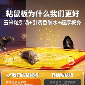 กาวดักหนูคิสซ่าแบบแผ่น 1 แพ็ค ใช้แล้วทิ้ง สำหรับควบคุมหนูในบ้าน - Product Image 2