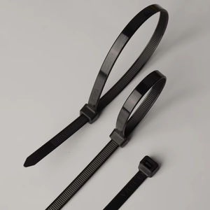 สายเคเบิลไนลอนอเนกประสงค์ขนาด2.5*100มม. สายรัดพลาสติกสีดำและสีขาวที่ล็อกในตัวสายไนลอนหัวเข็มขัดอเนกประสงค์ - Product Image 2