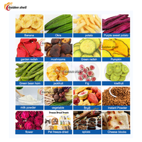 Commerciële vriesdroogmachine 5 m² PLC-pomp voor voedsel (bosbes, mango, ananas) nieuw, op maat gemaakt, multifunctioneel