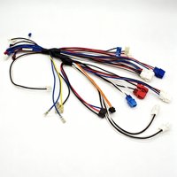 Kabel Harness Multi-Cabang Kustom dengan Kabel Berwarna Campuran & Berbagai Konektor Plastik untuk Kulkas & Mesin Cuci