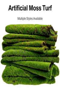 Arte de Musgo al por Mayor, Arte de Pared con Figuras de Musgo, Musgo Natural Real Ecológico para Decoración del Hogar y la Sala de Estar - Product Image 4