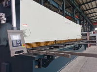 Guillotina Hidráulica DAC 12*8000mm, Máquina de Corte de Chapa Metálica CNC para Acero al Carbono y Acero Inoxidable