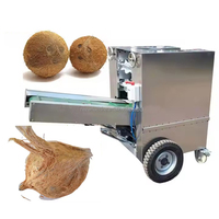 Machine à enlever les fibres de cocotier bon marché Machine à éplucher les fibres de coco