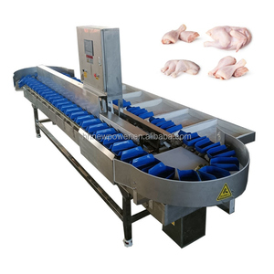 Ligne de production 2024 de machines de pesage et de tri pour volailles, fruits de mer et légumes, avec balance de plateau et trieuse pondérale - Product Image 1