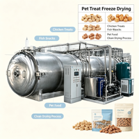 Commerciële voedselvacuümvriesdroger, lyofilisator, machine voor het vriesdrogen van fruit, groenten, vlees en vis