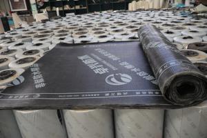 Membrane d'étanchéité en bitume modifié SBS avec surface en film PE, à poser au chalumeau, pour l'étanchéité souterraine, longue durée de vie - Product Image 2