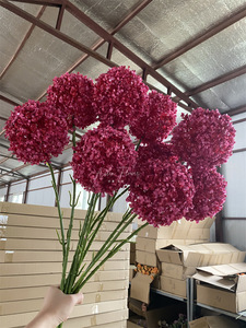 Nouvel arrivage de fleurs artificielles <span class=keywords><strong>allium</strong></span> géant boule romantique pour la décoration de vase de maison de mariage - Product Image 5