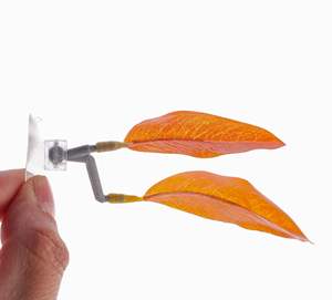 Betta Leaf Aquarium Scenery Betta Bed Laying Leafシミュレーションプラスチック水草装飾 - Product Image 3