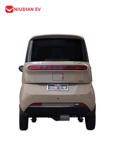 Mini vehículo eléctrico de nueva energía con certificación EEC de 3000W, coche de cuatro ruedas completamente cerrado con luces LED y batería de litio - Product Image 5