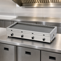 Nouvel Arrivage DanFuQi Plaque de Cuisson à Gaz Plate en Acier Inoxydable pour Burgers, Garantie 1 An, Nettoyage Facile, Silencieux