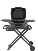 Barbecue à gaz portable certifié CE à 2 brûleurs pour la cuisson en extérieur avec panneaux latéraux pliables
