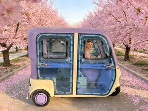 Un tricycle électrique de 1200 watts aussi élégant qu'un papillon - Product Image 2