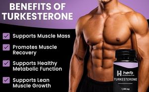 Cápsulas de Turkesterona ODM de Alta Potencia con Raíz de Maca y Tribulus Terrestris - Apoyo para el Crecimiento Muscular, Energía y Memoria - Product Image 5