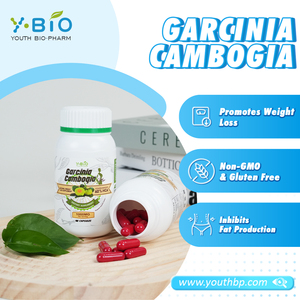 Hete producten Garcinia Cambogia capsules Energieopwekkende stofwisseling voor volwassenen die gezond gewichtsondersteuning zoeken Fabrieks prijs - Product Image 3
