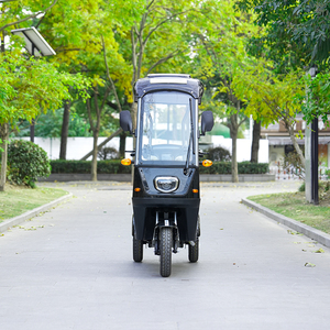 <span class=keywords><strong>Tricycle</strong></span> électrique 2 places avec auvent et porte-bagages, scooter à 3 roues pour personnes âgées, charge utile de 200-300 kg, autonomie de 50-70 km - Product Image 3