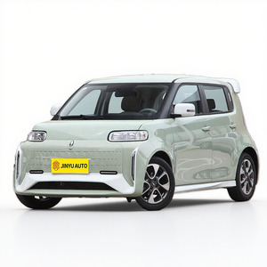 Ora White Cat <span class=keywords><strong>2022</strong></span> 306km Driving Range EV Car 5 puertas 4 asientos Mini Car para adultos 48hp Pure Electric New Energy Vehicles GWM - Product Image 1