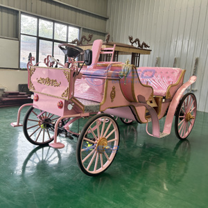 Xuchang EGO Princesse Carrosse Électrique Touristique Rose Victorien Élégant en Acier Garantie 24 Mois Prix Bas - Product Image 6