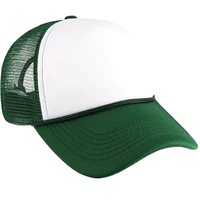 Gorra de béisbol ligera para exteriores con visera curva y opciones de bordado personalizadas para equipos