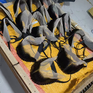 โปรโมชั่น $10.7 เส้นผมธรรมชาติ 13x4 ลูกไม้ติดหน้าผากพร้อมถักเปีย ผมแท้ 100% ขนาด 12-16 นิ้ว ถักเปียแบบขายส่ง - Product Image 1