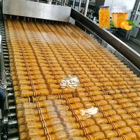 ENAK Automatische Hoge-Efficiëntie Productielijn voor de Verwerking van Geblikte Sinaasappels en Mandarijnen