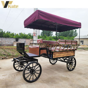 Carruaje Eléctrico de Turismo de Alta Gama para Recepción de Hoteles y Villas - Product Image 2