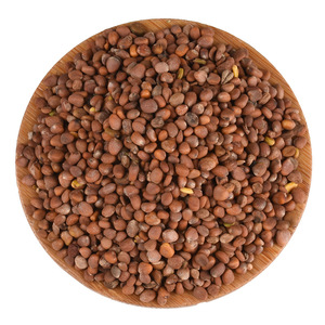 天然水溶性サプリメント精液Raphaniエキス10:1大根種子エキス - Product Image 2