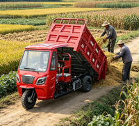 Tricycle électrique à trois roues et à cinq roues, moto ouverte, camion à benne basculante pour usage agricole et domestique, camion à essence, camion de transport de marchandises, vente chaude transfrontalière