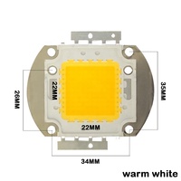 Perles de lampe à puce LED COB 100W/200W avec blanc froid/blanc chaud/blanc froid et blanc chaud 2IN1For éclairage de scène