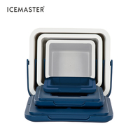 Icemaster 5L 12L 24L Logo personnalisé Glacière Camping en plein air Mini Isolé Mini Petite Glacière en plastique