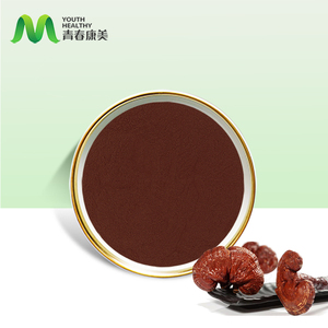 Wholesale Bulk Reishi Extract Powder <strong>Lingzhi</strong> Mushroom Extract <strong>Ganoderma</strong> Lucidum - Product Image 2