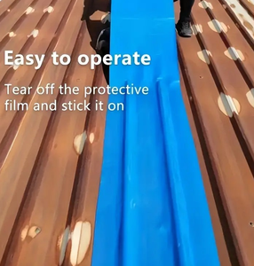 Remise à neuf de carreaux d'acier de couleur: Membrane imperméable auto-adhésive - Product Image 5