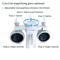 Lampe frontale dentaire et chirurgicale 5W avec loupe intégrée, longue portée, argentée, pour chirurgie orthopédique et ORL