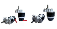 Motor DC 24v Berulir Dalam untuk Kursi Roda 250W 350W Dengan Rem Parkir untuk Tangga Medis
