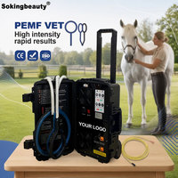 Appareils de thérapie PEMF à double commande, machine magnétique pour animaux destinée aux fermes équine et aux centres de réadaptation vétérinaire