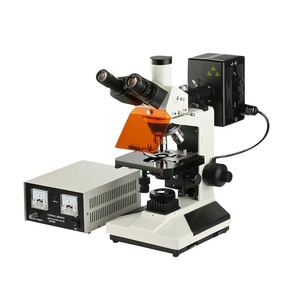Boshida BD-YG2001 Precio de Fábrica, Fluorescencia Epi para Cultivo Celular, Hospitales y Laboratorios de Investigación - Product Image 1