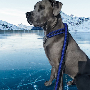 Diseñador de lujo personalizado paso en seguridad táctica suave sin tirar <span class=keywords><strong>Nylon</strong></span> plomo mascota perro <span class=keywords><strong>Collar</strong></span> Correa conjunto - Product Image 6